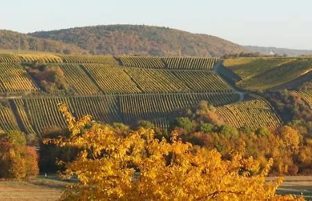 Gaestehaus Zum Goldberg Herberg