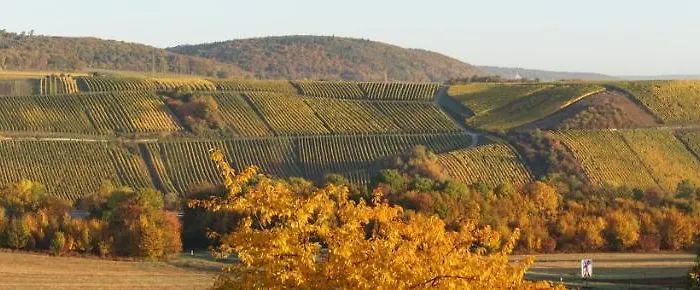 Gaestehaus Zum Goldberg Πανδοχείο